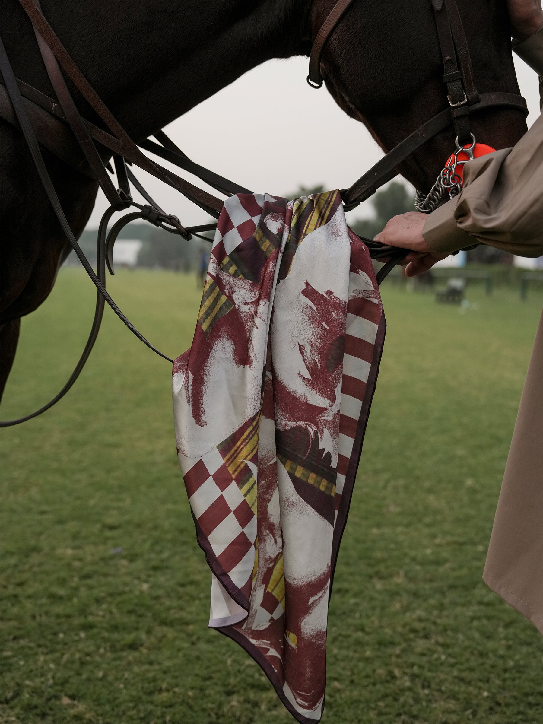 SCARF - THE WINTER HORSE